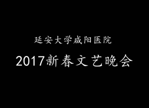 2017新春文艺晚会