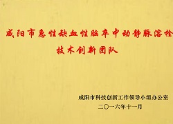 咸阳市急性缺血性脑卒中动静脉溶栓技术创新团队